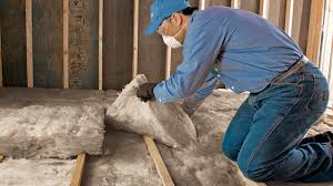 Best Insulation for New Construction  in Elon, NC