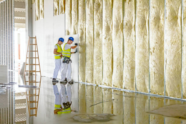 Best Blown-In Insulation  in Elon, NC